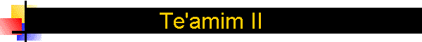 Te'amim II